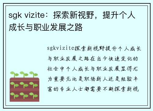 sgk vizite：探索新视野，提升个人成长与职业发展之路